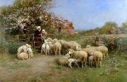 unknow artist Sheep 111 oil painting on canvas
